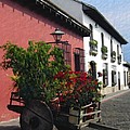 Flower Wagon Antigua Guatemala