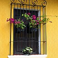 Window at Old Antigua Guatemala